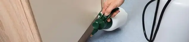 Bed bug exterminator treating baseboards and cracks with targeted spray in Dallas, TX