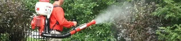 Mosquito control technician fogging shrubs and landscaping for mosquito treatment in Dallas, TX