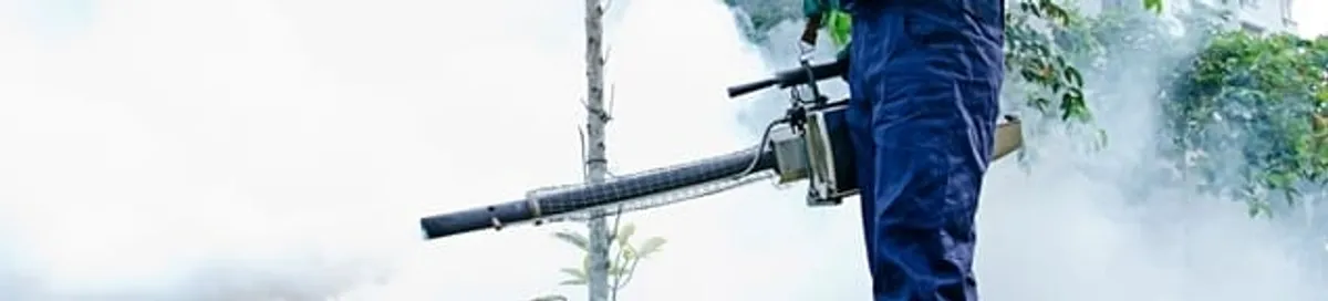 Pest control technician fogging an outdoor area for insect control in Dallas, TX