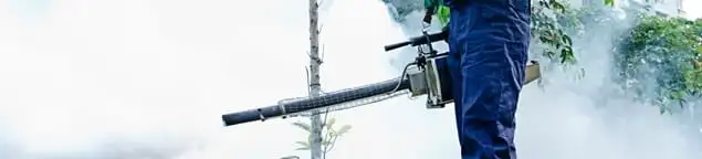 Pest control technician fogging an outdoor area for insect control in Dallas, TX