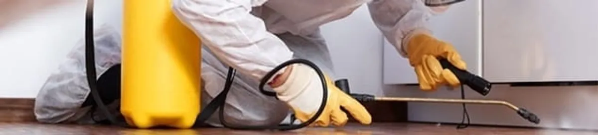 Roach exterminator treating cracks and crevices along kitchen baseboards in Dallas, TX