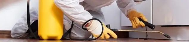 Roach exterminator treating cracks and crevices along kitchen baseboards in Dallas, TX