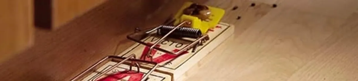 Rodent trap set indoors for rodent control and prevention in Dallas, TX