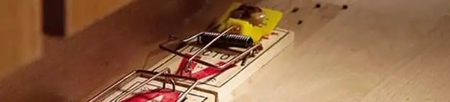 Rodent trap set indoors for rodent control and prevention in Dallas, TX