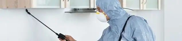 Termite treatment technician applying indoor pest control spray in Dallas, TX