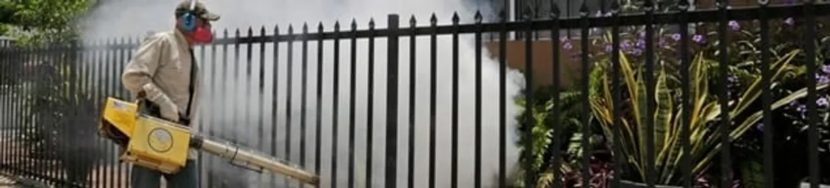 Mosquito control technician fogging a yard perimeter for mosquito reduction in Dallas, TX