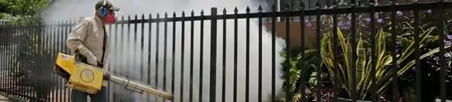 Mosquito control technician fogging a yard perimeter for mosquito reduction in Dallas, TX